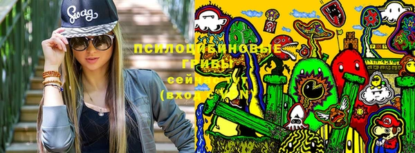 дживик Абинск